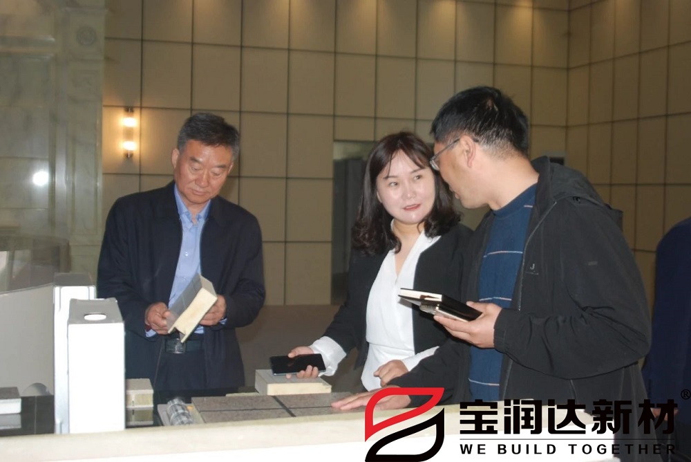 龍蟒佰利聯(lián)集團(tuán)董事長(zhǎng)一行來訪寶潤(rùn)達(dá)