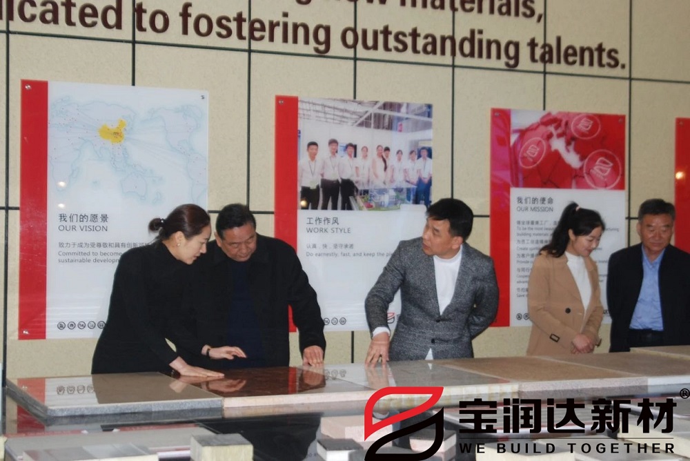 龍蟒佰利聯(lián)集團(tuán)董事長(zhǎng)一行來訪寶潤(rùn)達(dá)