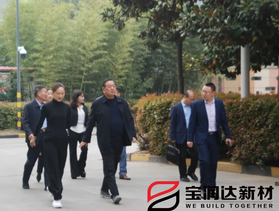 龍蟒佰利聯(lián)集團(tuán)一行來訪寶潤(rùn)達(dá)