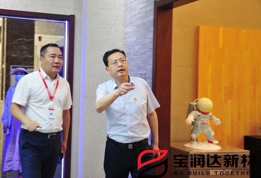 市人大常委會(huì)黨組書記劉明亮蒞臨寶潤(rùn)達(dá)