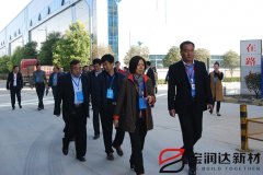 市人大常委會(huì)領(lǐng)導(dǎo)蒞臨寶潤(rùn)達(dá)視察工業(yè)轉(zhuǎn)型工作