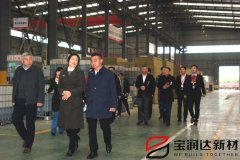 爨麗敏市長(zhǎng)一行蒞臨寶潤(rùn)達(dá)視察
