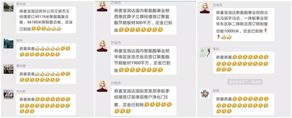 寶潤達新型材料有限公司