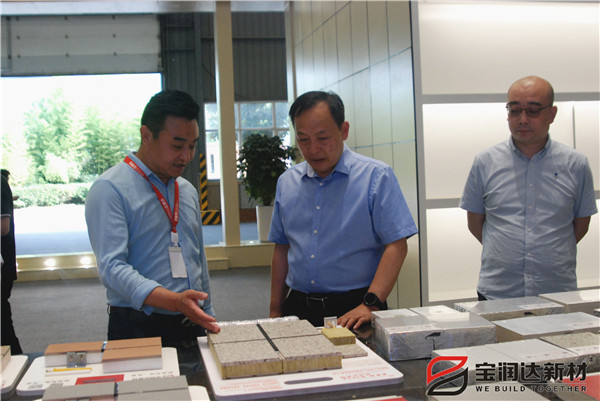 副市長趙勝業(yè)一行來訪寶潤達(dá)考察調(diào)研